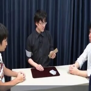 FLYING PICTURE by Nojima Nobuyuki