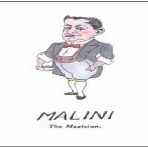 Fine Art of Palming Cards by Brick Tilley