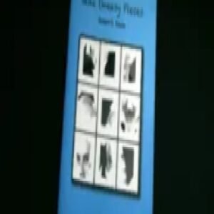 Nine Uneasy Pieces by Robert E Neale
