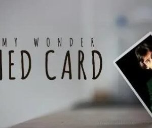 Tommy Wonder - Tamed Card