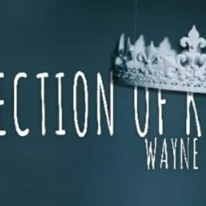 Wayne Goodman - Collection Of Kings