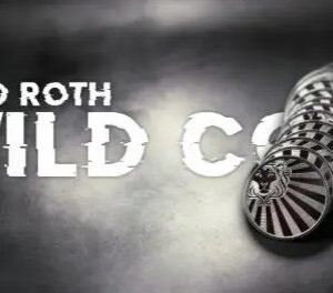 David Roth - Wild Coin