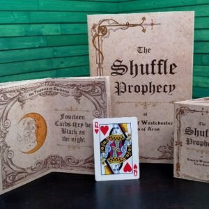 Ryan Pilling – Shuffle Prophecy