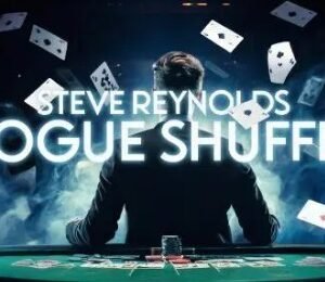Steve Reynolds - Rogue Shuffle