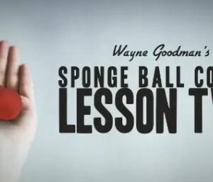 Wayne Goodman - Sponge Ball Course Lesson 2