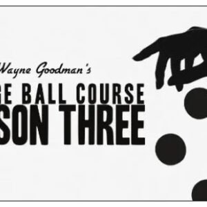Wayne Goodman - Sponge Ball Course Lesson 3
