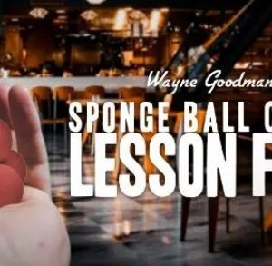 Wayne Goodman - Sponge Ball Course Lesson 4