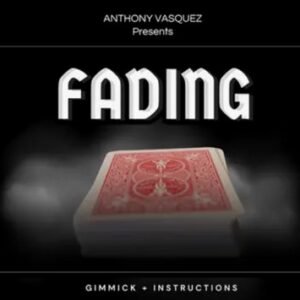 Fading by Anthony Vasquez