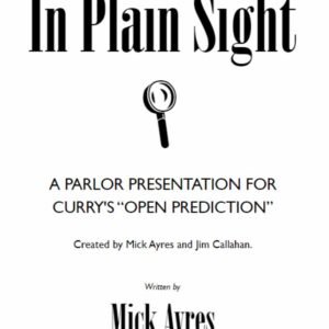 In Plain Sight by Mick Ayres