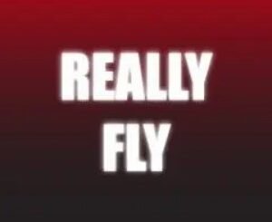Really Fly by Craig Petty