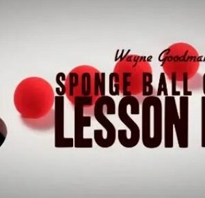 Wayne Goodman - Sponge Ball Course Lesson 5