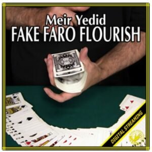 FAKE FARO FLOURISH VIDEO (MEIR YEDID)