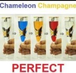 Chameleon Champagne by Mizoguchi