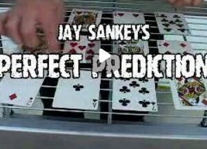 Jay Sankey - Perfect Prediction