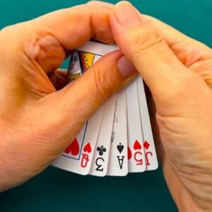 Special Report 7 by Steve Forte