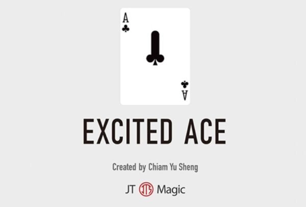 The Excited Ace by Chiam Yu Sheng