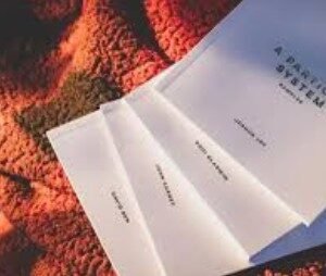 The Reverse Cull by Andi Gladwin