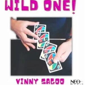 Vinny Sagoo - WILD ONE