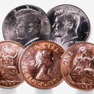 Artisan HD Hopping Half Set