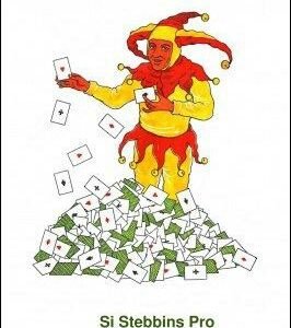 Si Stebbins Pro by Dr. Hans-Christian Solka