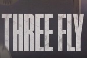 Azim's 3 Fly by Azim Guliyev