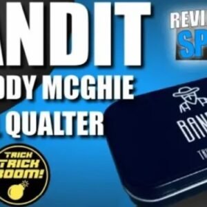 Bandit by Noel Qualter and Roddy McGhie.