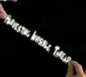 Magic Lovers - Harvesting Invisible Thread