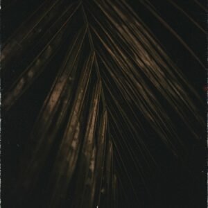 Natural Magic By Lewis Le Val.