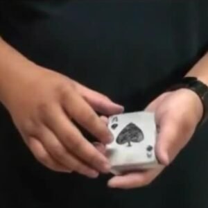 Sleight Trainer (Steel Deck) by Hondo