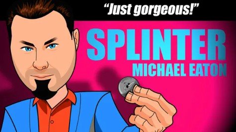 Splinter by Michael Eaton