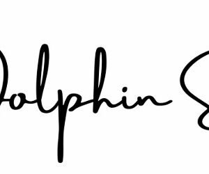 The Daily Magician - The Dolphin Shuffle