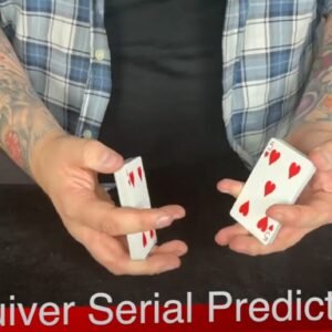 Craig Petty - Quiver Serial Prediction