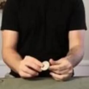 Danny Goldsmith - Corvid Vanishes