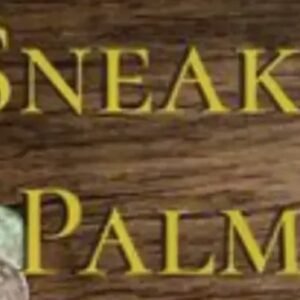 Danny Goldsmith - Sneaky Palm