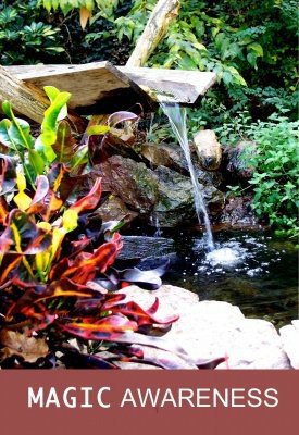 Magic Awareness: F.U.N. Presentation Series by Ken Muller