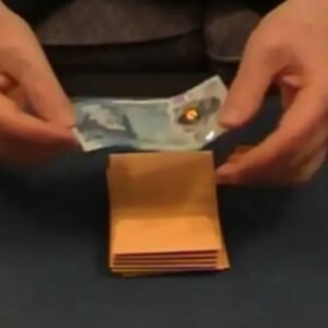 Mark Leveridge - RISK