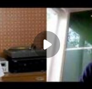 Rooster - Evanescent Coins Thru Hand Coins Across