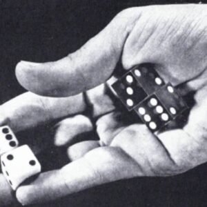 Steve Forte - Special Report 10