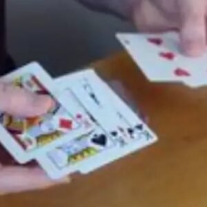 Steven Bridges - Spark Transposition