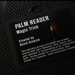 The Palm Reader Card by David Alnwick