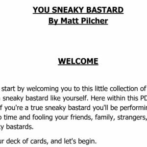 You Sneaky Bastd By Matt Pilcher