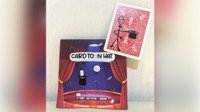 CARDTOON HAT by Robby Constantine & Dingding