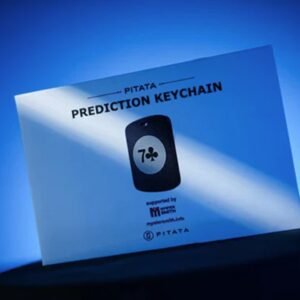 Keychain Prediction by Pitata