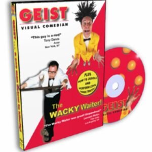 Pete Geist - Visual Comedian