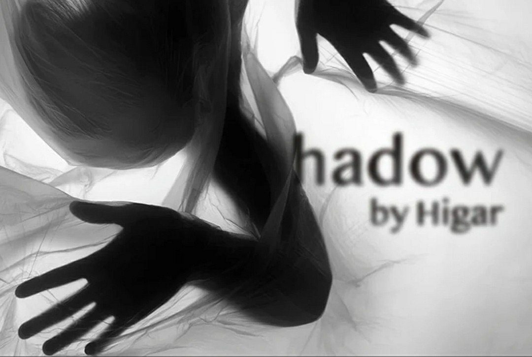 Shadow by Higar