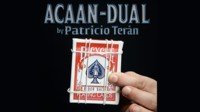ACAAN dual by Patricio Terán