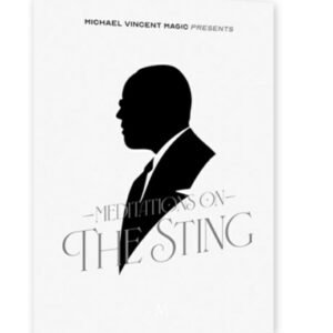 Michael Vincent - Meditations On The Sting
