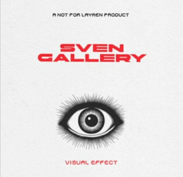 NotForLaymen - Svengallery (online instruction only)