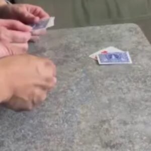 Will the Cards Match by Larry Becker