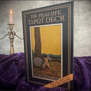 The Real Life Tarot Deck by David Regal